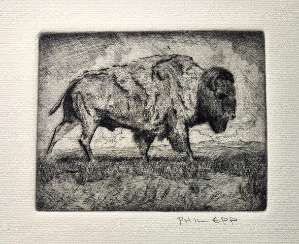 Epp, Phil, 26SW, "Buffalo"