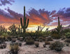 Brown, Naomi, 88SW, "Saguaro Sunset"