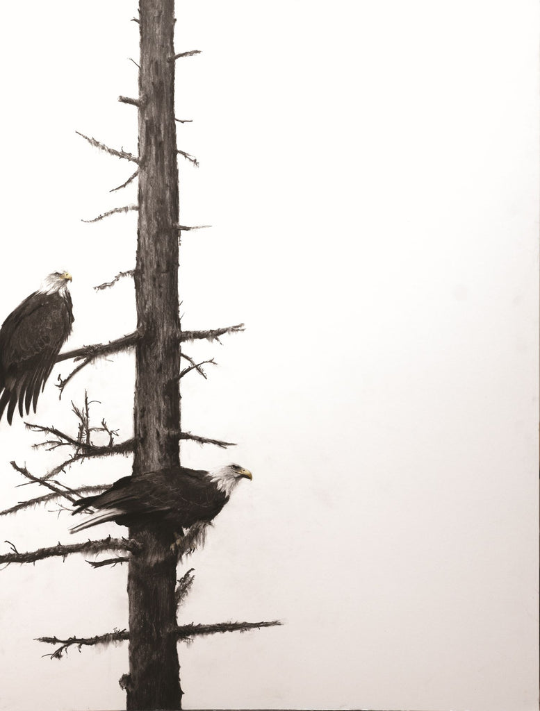 Brown, Ray, SOLD - 8A, "Brothers in Arms (Bald Eagles)"