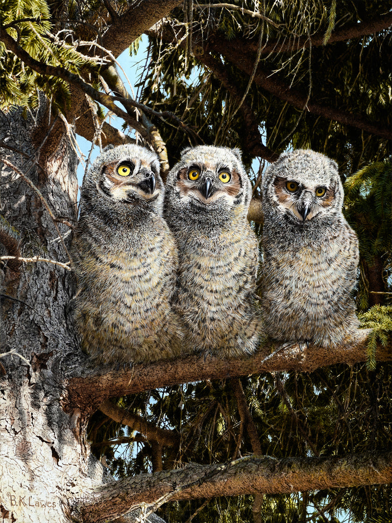 Lawes, Bruce, 40A, "Three's Company"