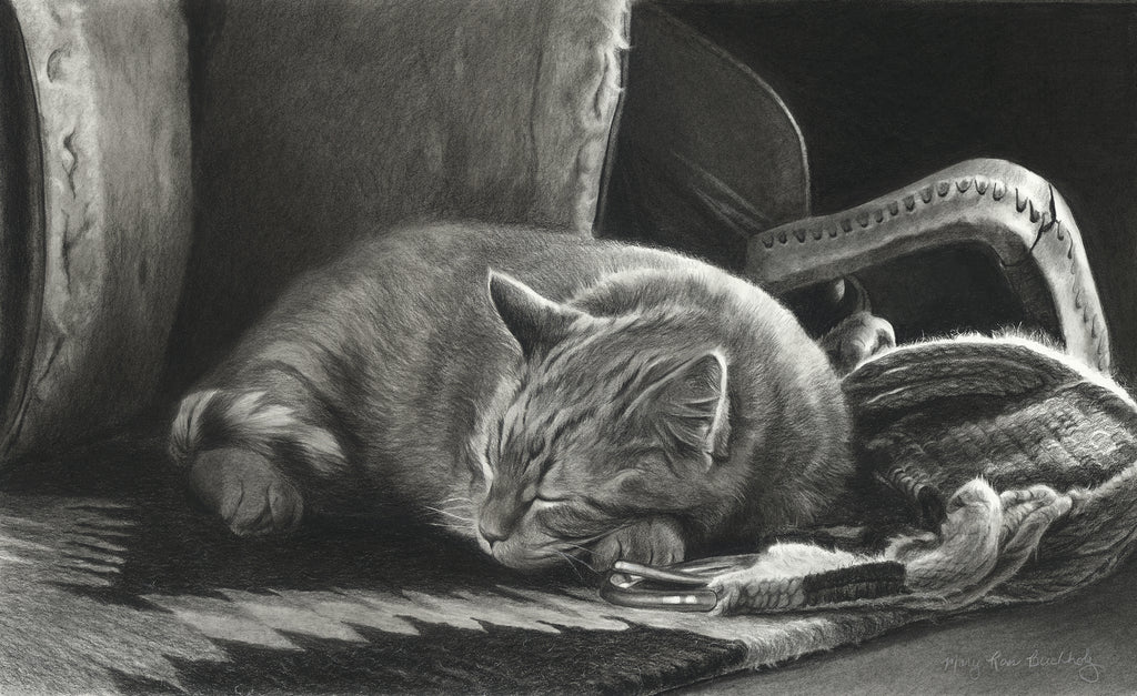 Buchholz, Mary Ross. 6E, "Nappin' Barn Cat", 2024
