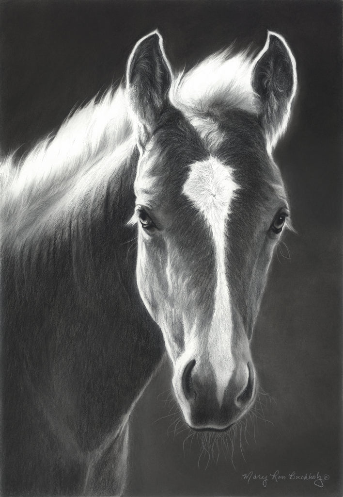 Buchholz, Mary Ross, SOLD - 9SW, "Morning Shine"