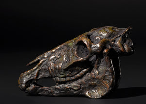 Doellinger, Mick. 21B, "Equus - Horse Skull", 2024