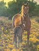 Mapes, Jan, 42B, "Boss Mare"