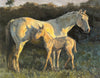 Mapes, Jan, SOLD - 42SW, "Sundown and Shadows"