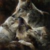 Marris, Bonnie, LIVE AUCTION, "Wolves Being Wolves"