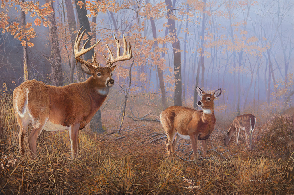 Pauley, Pat, 55C, "Autumn Morning"