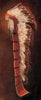 Pauley, Pat, SOLD - 55A, "Spirit Warrior"