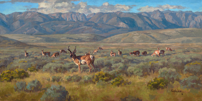 Chad Poppleton – Briscoe Western Art Museum