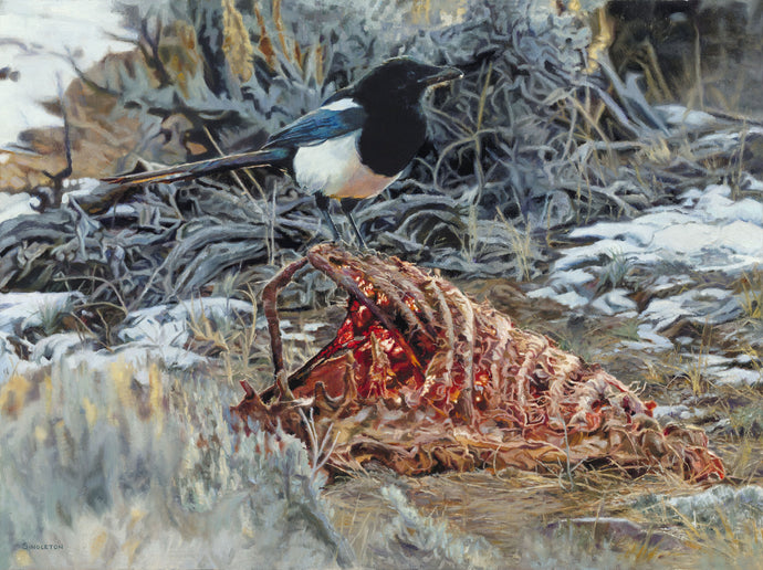 Kelly Singleton – Briscoe Western Art Museum
