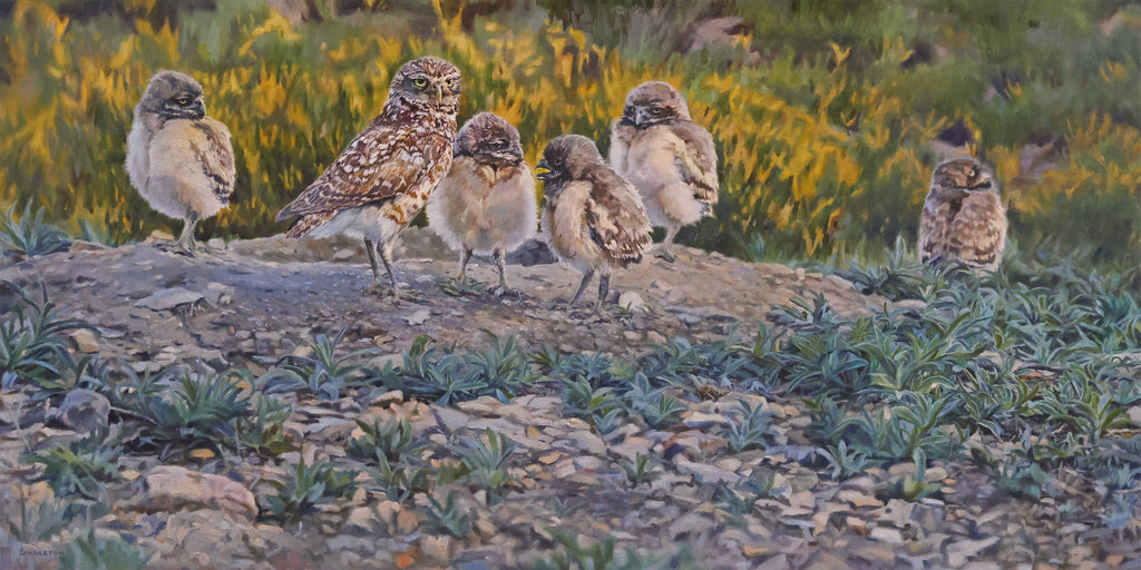 Singleton, Kelly, 71A, "Little Burrow on the Prairie"