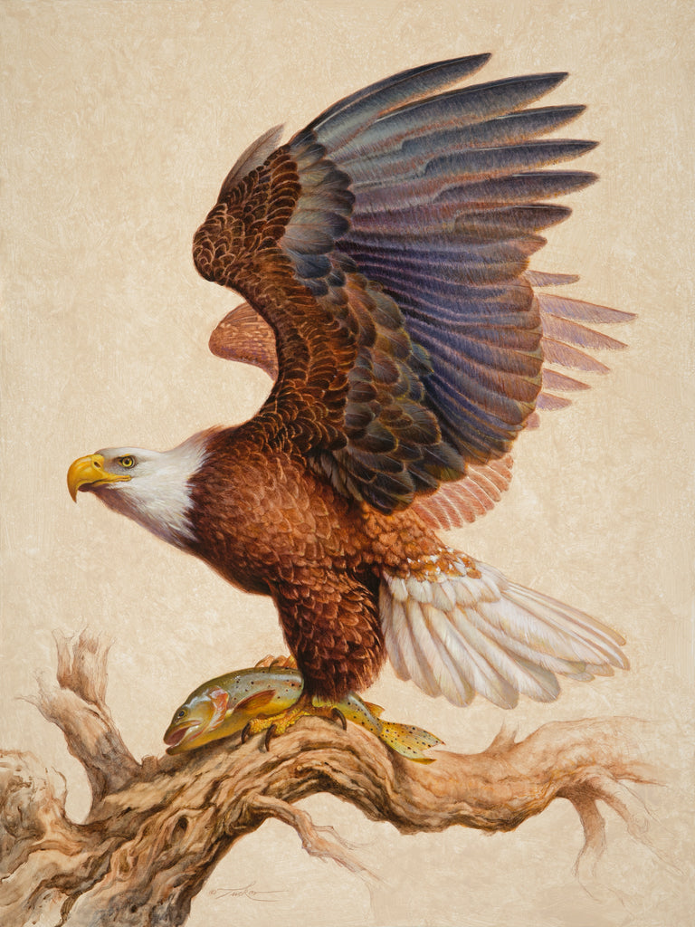 Tucker, Ezra, 75B, "Majestic Return"