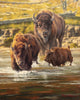 Van Wechel, Dustin, 78C, "Fording the Yellowstone"