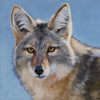 Buchholz, Mary Ross. 7SW, "Coyote", 2023