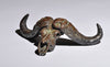 Doellinger, Mick. 18A, "Cape Buffalo Skull", 2022