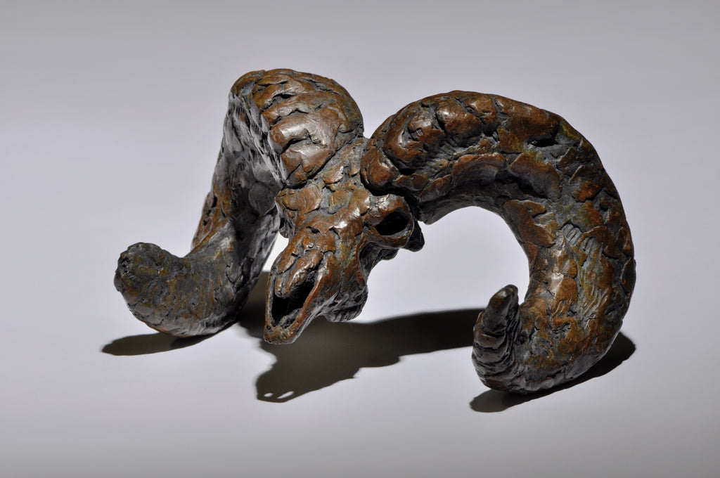 Doellinger, Mick. 18D, "Ram Scull", 2022