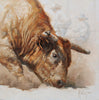 Gutting, Abigail. 27D, "The Bull's Eye", 2022