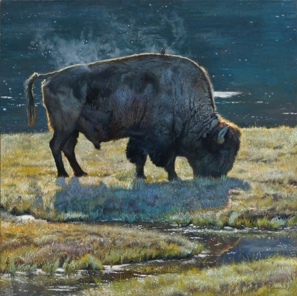 Singleton, Kelly. 67B, "Morning in Yellowstone"
