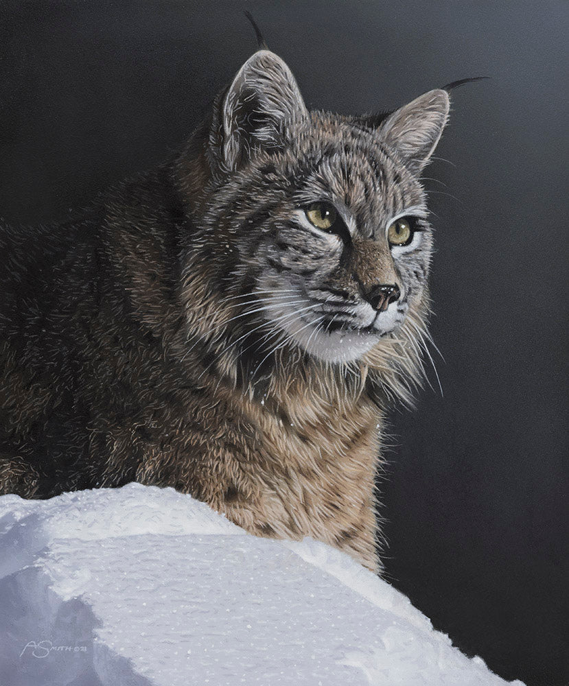 Smith, Adam. 69C, "Winter Gaze", 2023